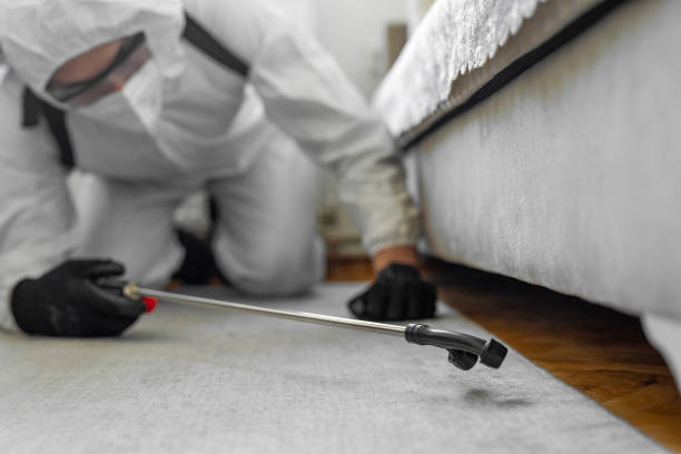 Professional Bed Bug Control technician working in USA