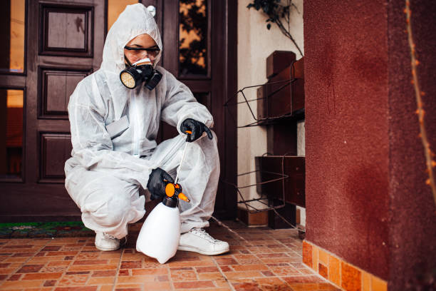 Reliable Bed Bug Control contractor in USA by Nex Pest Control